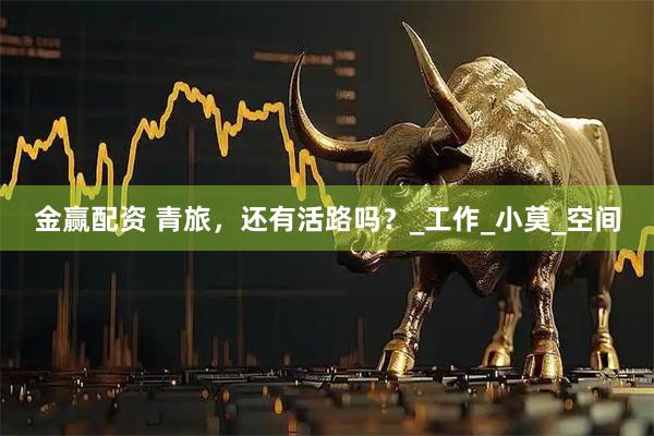 金赢配资 青旅，还有活路吗？_工作_小莫_空间