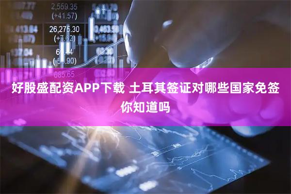 好股盛配资APP下载 土耳其签证对哪些国家免签你知道吗