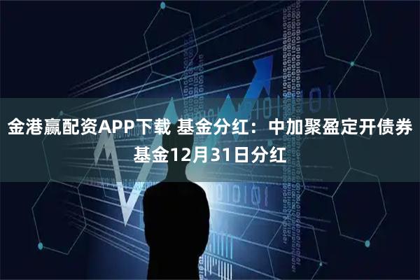 金港赢配资APP下载 基金分红：中加聚盈定开债券基金12月31日分红