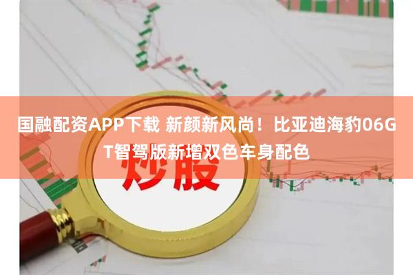国融配资APP下载 新颜新风尚！比亚迪海豹06GT智驾版新增双色车身配色