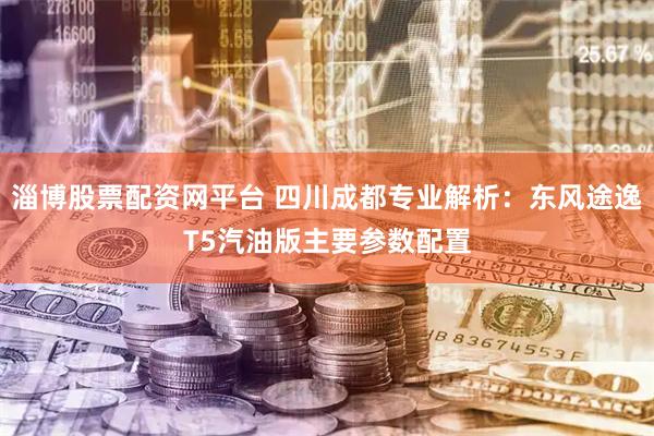 淄博股票配资网平台 四川成都专业解析：东风途逸T5汽油版主要参数配置