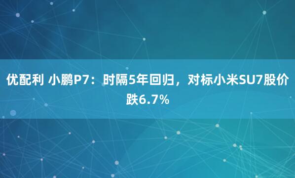 优配利 小鹏P7：时隔5年回归，对标小米SU7股价跌6.7%